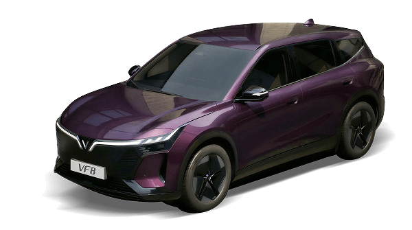 VF8 NEW Mysterioso Purple